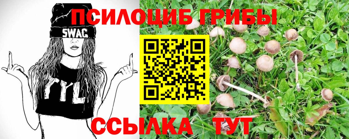 Псилоцибиновые грибы ЛСД Кулебаки