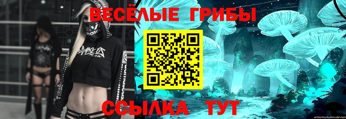 Галлюциногенные грибы Psilocybe  Галлюциногенные грибы мухоморы  Вход с VPN  Кулебаки 
